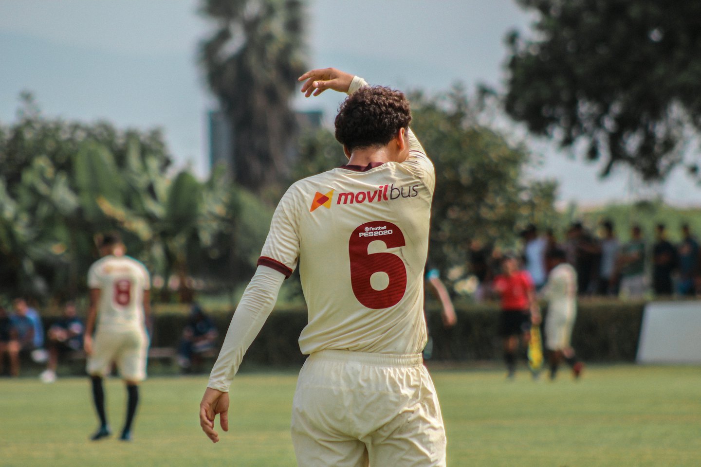 Soccer player in a cream jersey with number 6 on a green field.